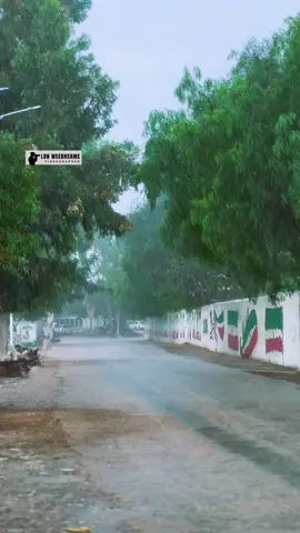 Ceerigaabo Roob#libanweedhzame #views #ceerigaabo_sanaag_somaliland #somalitiktok #ceerigaabo 