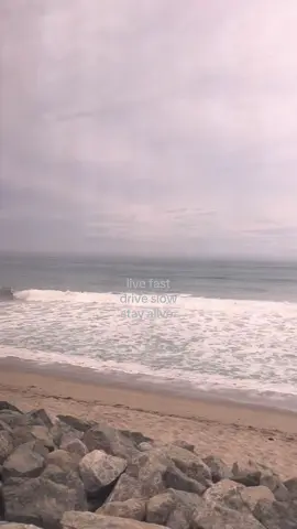 up titling my fight #titlefight #meow #ilovetheocean 