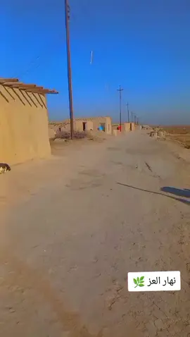 #شعب_الصيني_ماله_حل😂😂 #صباح_العماري #لايك #تفاعل #متابعة 