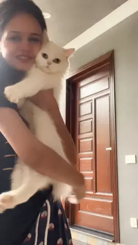 😂😂😂😂 #funnycats #catsoftiktok #foryoupage #1millionaudition 