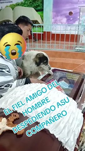 NO ES PARA CIEMPRE SOLO ES UN HASTA LUEGO