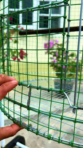 Sangkar murai batu saiz 22 #muraibatu #muraibatumalaysia #murai #muraibatumania #fyppppppppppppppppppppppp #fyppppppppppppppppppppppp #fyppppppppppppppppppppppp #fyp #fyp #fyp #fyp #muraibatu 