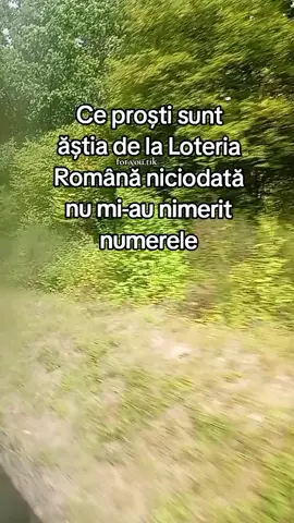 #creatorsearchinsights #funnymoment #lottery #funnycomedy #goviral 