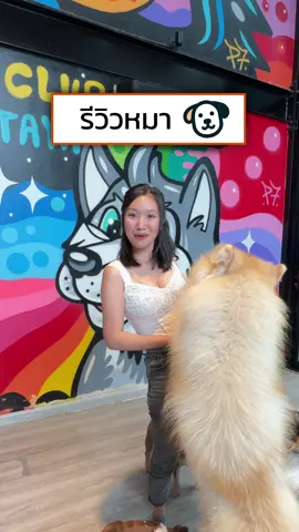 น้องหมามีพันธุ์อะไรบ้าง? 