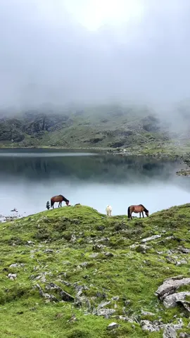 . #fyp #travel #nepal 