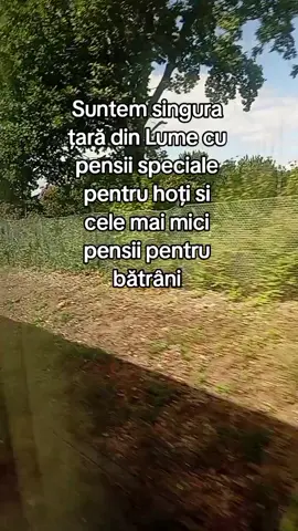 #creatorsearchinsights #quote #romania #100kviews #goviral 