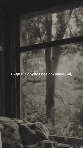 #стихи #поэзия #стихисосмыслом #poetry #rec  @Zlatentsia Zolotova 