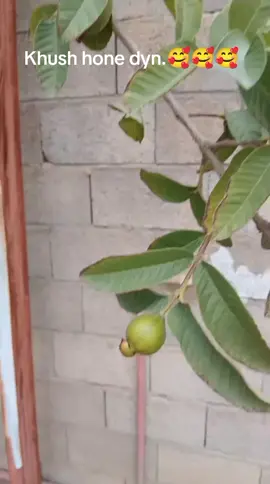 #viraveidoforyoupageoffcial #likevideosharevideotiktok #saudiarabia_tiktok #Qaterviralvideo#usa🇺🇸 👍👍👍👍❤️❤️❤️🌹🌹🌹🥰🥰🥰