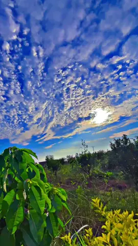 View😍🥀👀❤️‍🩹#pindawale #foryoupage #tiktokpakistan #1millionaudition #communitytiktok 