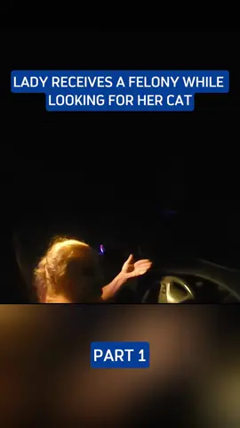 LADY RECEIVES A FELONY WHILE LOOKING FOR HER CAT#police #cops 