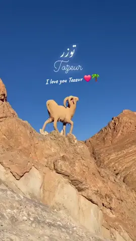 Tozeur, a lover who lives in the heart❤️🌴 #fyp #❤️ #قفصة❤تونس❤الجزائر❤المغرب❤❤❤ #🌴 #tozeur_tunisia🔥😍🇹🇳 