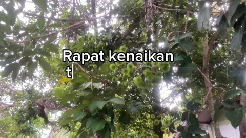 Rapat kenaikan tunjangan 50% #fyppppppppppppppppppppppp  #fypシ゚viral  #videoviral  #demodprindonesian  #indonesia  