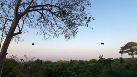 အချစ်ဦး...  #fypシ #firstlove #အချစ်ဦး 