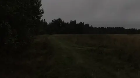 ... #real #sadvideo #depressed #alone #vibes #tired #apathy #atmosphere #nature 