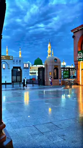 i love Madina ❤️#muhammadصَلَّى_اللّٰهُ_عَلَيْهِ_وَسَلَّم #اللَّهُمَّ_صَلِّ_عَلَى_مُحَمَّدٍ🍁🍂❤ #hearttouching #muhmmad_s_a_w❤️❤️❤️💯💯 #muhmmad_s_a_w❤️❤️❤️💯💯 