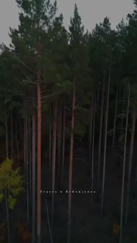 #LIVEIncentiveProgram #SideHustleLIVE #PaidPartnership #reflexion #frasesyreflexiones✍🏻 