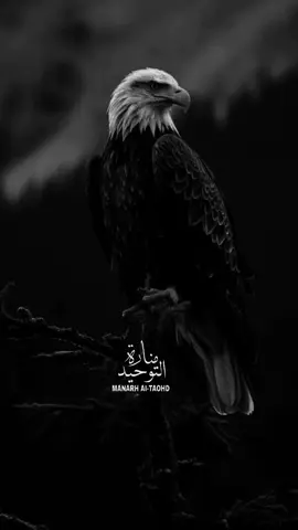 تدَّبروا وتفكروا بآياتِهِ فأنَّ اللّٰـه سُبْحَانَهُ وَتَعَالَىٰ يَقول ﴿إِنَّ فِي ذَلِكَ لآيَاتٍ لِقَوْمٍ يَتَفَكَّرُونَ﴾🤍🍂_ _ _ _ _ _ _ _ _ _ _ _ _ _ _ _ _ _ #القران_نور_الحياة_القلوب #مناجاة_التائبين #اللهم_صل_على_نبينا_محمد #اللهم_انك_عفو_تحب_العفو_فاعف_عنا #تصميمي🎬 ፪፪፪፪፪፪፪፪፪፪፪፪፪፪፪፪፪፪፪፪፪፪፪፪፪፪፪፪፪፪፪፪፪፪፪፪፪፪፪፪፪፪፪፪፪፪፪፪፪፪፪፪፪፪፪፪፪፪፪፪፪፪፪፪፪፪፪፪፪፪፪፪፪፪፪፪፪፪፪፪፪፪፪፪፪፪፪፪፪፪፪፪፪፪፪፪፪፪፪፪፪፪፪፪፪፪፪፪፪፪፪፪፪፪፪፪፪፪፪፪፪፪፪፪፪፪፪፪፪፪፪፪፪፪፪፪፪፪፪፪፪፪፪፪፪፪፪፪፪፪፪፪፪፪፪፪፪፪፪፪፪፪፪፪፪፪፪፪፪፪፪፪፪፪፪፪፪፪፪፪፪፪፪፪፪፪፪፪፪፪፪፪፪፪፪፪፪፪፪፪፪፪፪፪፪፪፪፪፪፪፪፪፪፪፪፪፪፪፪፪፪፪፪፪፪፪፪፪፪፪፪፪፪፪፪፪፪፪፪፪፪፪፪፪፪፪፪፪፪፪፪፪፪፪፪፪፪፪፪፪፪፪፪፪፪፪፪፪፪፪፪፪፪፪፪፪፪፪፪፪፪፪፪፪፪፪፪፪፪፪፪፪፪፪፪፪፪፪፪፪፪፪፪፪፪፪፪፪፪፪፪፪፪፪፪፪፪፪፪፪፪፪፪፪፪፪፪፪፪፪፪፪፪፪፪፪፪፪፪፪፪፪፪፪፪፪፪፪፪፪፪፪፪፪፪፪፪፪፪፪፪፪፪፪፪፪፪፪፪፪፪፪፪፪፪፪፪፪፪፪፪፪፪፪፪፪፪፪፪፪፪፪፪፪፪፪፪፪፪፪፪፪፪፪፪፪፪፪፪፪፪፪፪፪፪፪፪፪፪፪፪፪፪፪፪፪፪፪፪፪፪፪፪፪፪፪፪፪፪፪፪፪፪፪፪፪፪፪፪፪፪፪፪፪፪፪፪፪፪፪፪፪፪፪፪፪፪፪፪፪፪፪፪፪፪፪፪፪፪፪፪፪፪፪፪፪፪፪፪፪፪፪፪፪፪፪፪፪፪፪፪፪፪፪፪፪፪፪፪፪፪፪፪፪፪፪፪፪፪፪፪፪፪፪፪፪፪፪፪፪፪፪፪፪፪፪፪፪፪፪፪፪፪፪፪፪