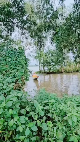 gọi đò ơi ai giúp tôi đưa kịp sang đò