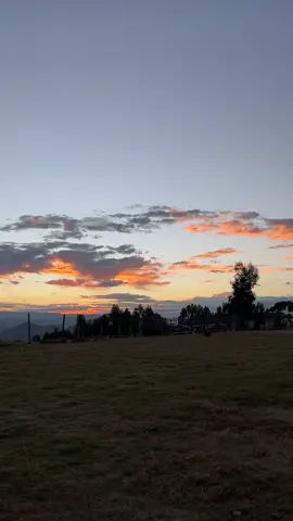 #quinuaayacucho #ayacucho_peru🇵🇪🇵🇪 