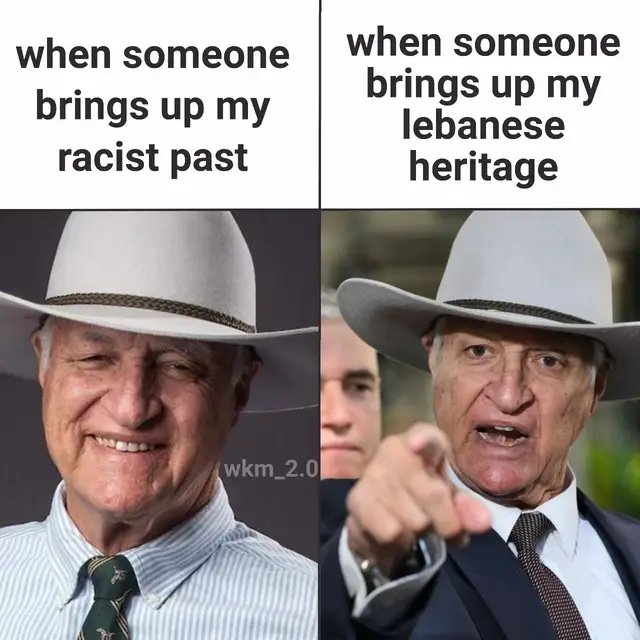 #lebanon #real #proudlebanese #bobkatter #fyp 