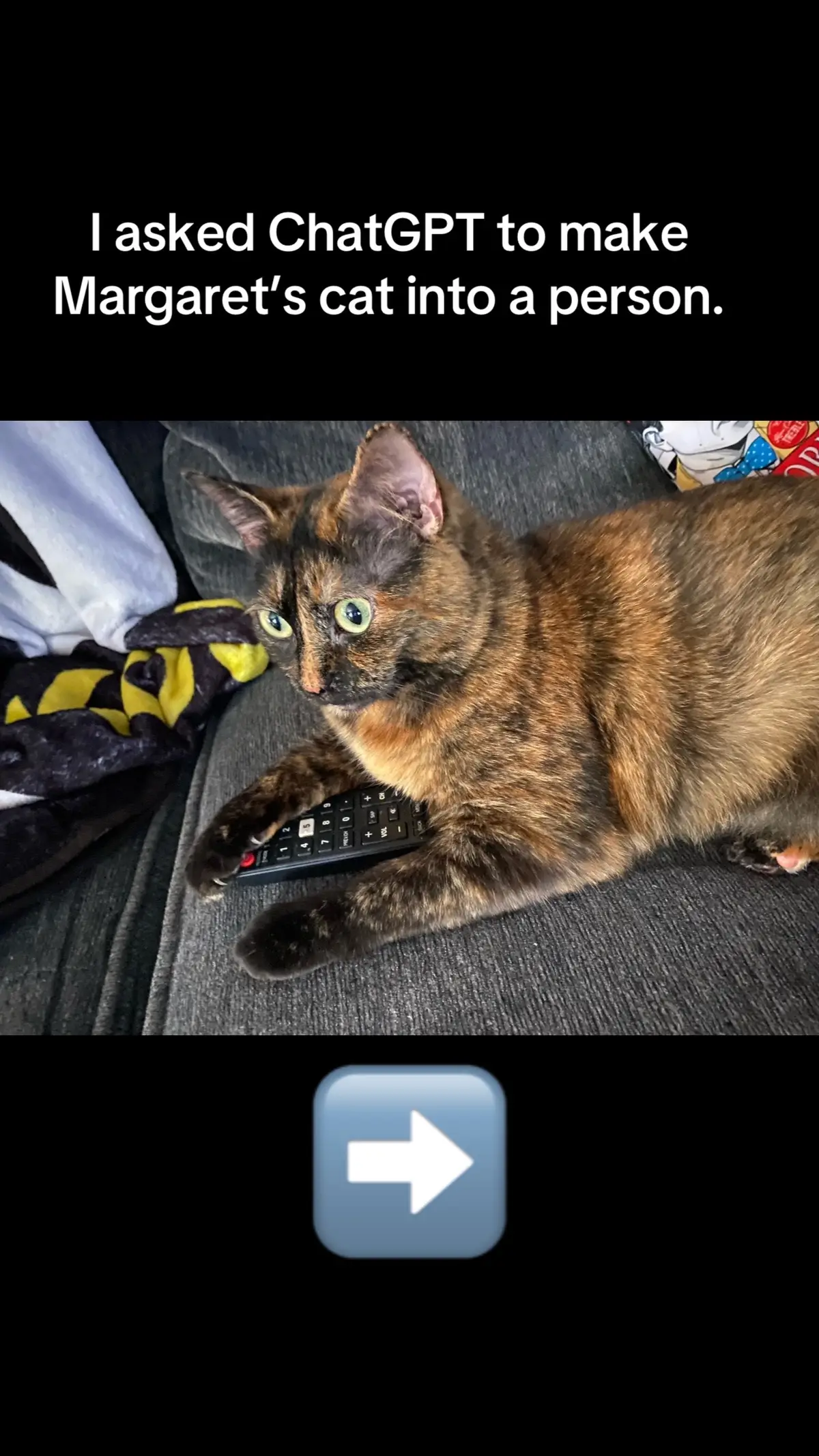 You guys should try this!!!! #cattok #chatgpt #nursesoftiktok #MomsofTikTok 