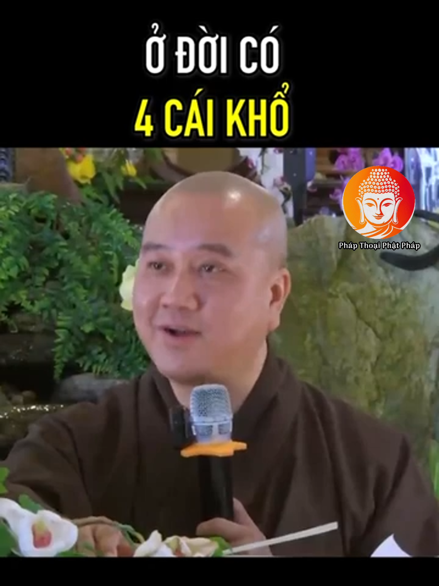 Ở đời có 4 cái khổ | Thầy Thích Pháp Hòa #phapthoaiphatphap #thichphaphoa #loiphatday #phatphapnhiemmau