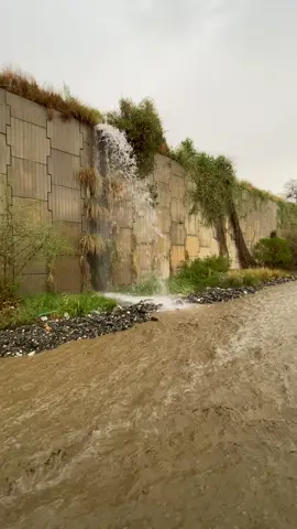 #اجواء وامطار # القريع # وادي مهور # بني مالك بجيلة ١٤٤٧/٠٣/١٠