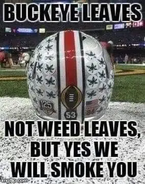 #fypシ゚viral #fypage #fyp #gobucks #theohiostateuniversity 