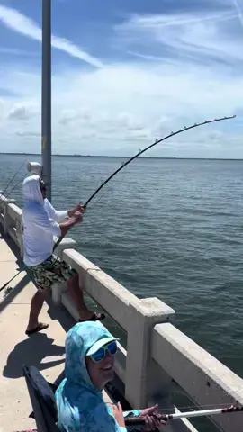 Opening Day Grouper Season!! #skywayfisingpier #fishlikemisfits #reelqualitysra #anglerco #xyzbca       