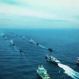 Xem mê mẩn nên mượn video nhà đài về edit lại ạ Hixxx  #A80