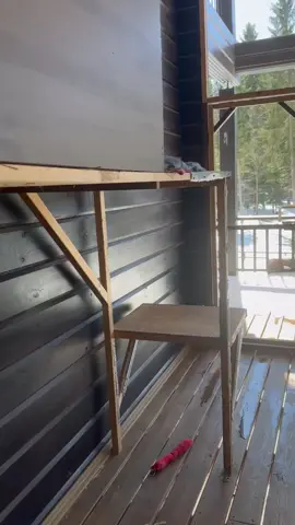 #lynx #прикольныеживотные #рысьдомашняя #кася #рысьмурлыкает 