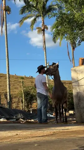 Vai ser bão!❤️