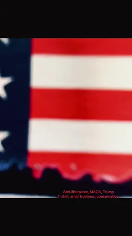 Make a statement! Grab one today! Link in bio. #TheResistanceFG #shopsmall #patriotic #conservative #tshirt 