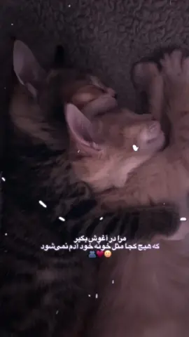 ᯓ ✈︎                                                                                                                                                                                                                                                                                                                                                                                                                                                                                                                                                                                                                                                                                                                                                                     ོ                     𓃬                 ‏                                                       ᝰ.ᐟ      #funny #funny #foryoupage #fypシ゚viral #foryou 