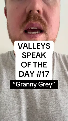 Valleys Speak of the Day #17 - “Granny Grey” #Wales #welsh #thevalleys #fyp 