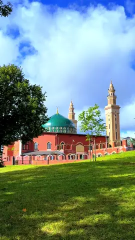 🌻🕊️🕊️🕊️..........#foryou #tranding #creatorsearchinsights 