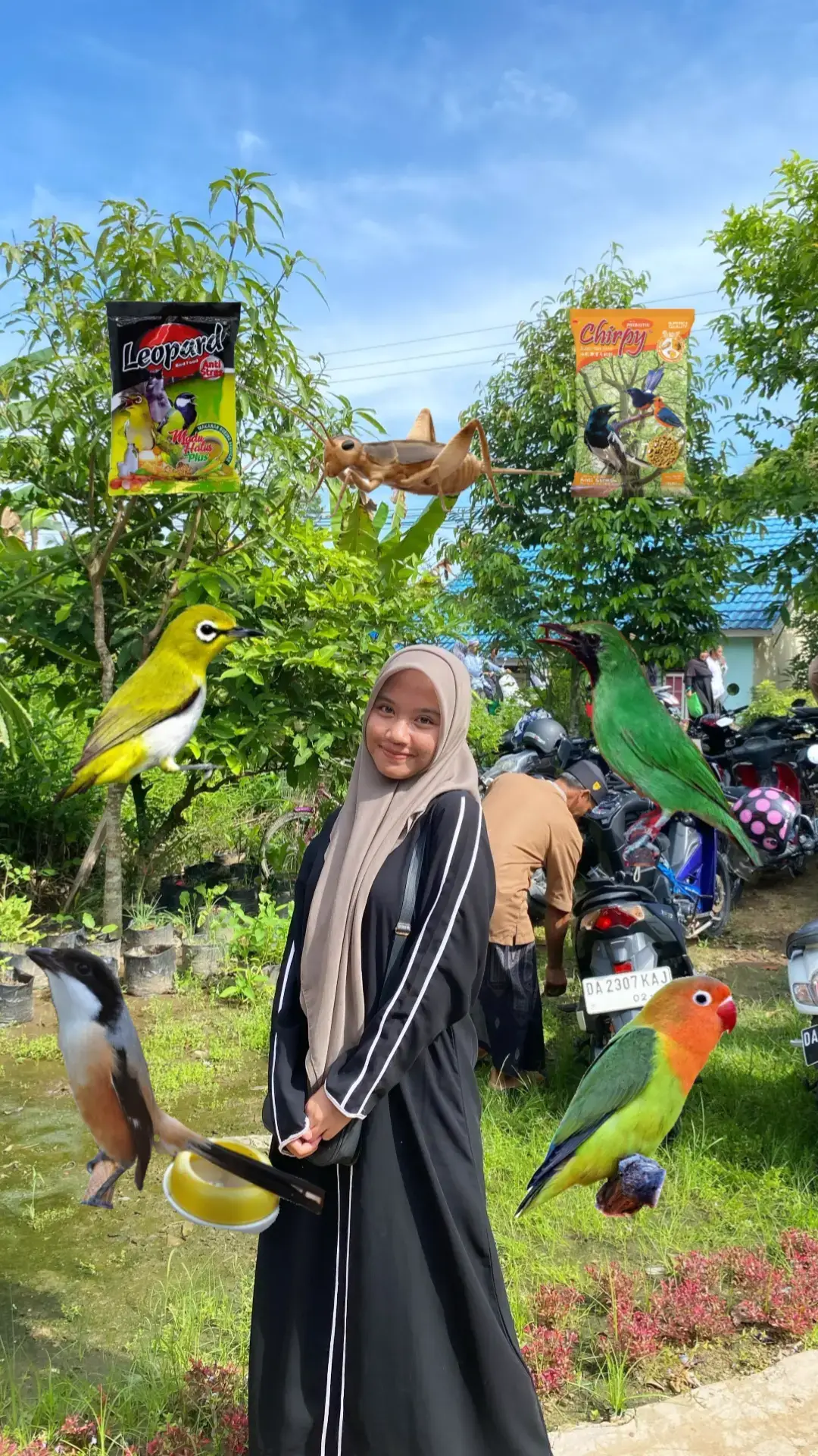 #fypシ #kicaumania #kicaumaniaindonesia #cendetmaniaindonesia #plecimaniaindonesia 