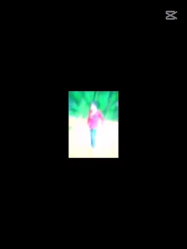 তোর চোখে কতো নেশা 😁😁#viral #pppppppppppppppp 