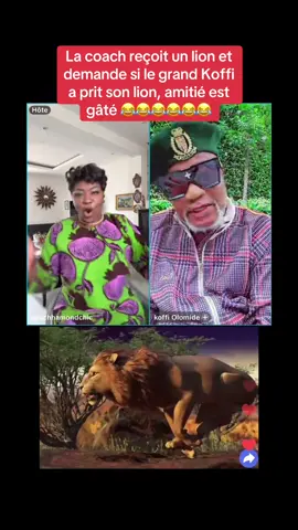 Affaire de lion là 😂😂😂😂 #coachhamondchiccaviar #hamondchiccoachcaviar 