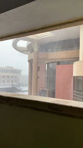 يوم طالب طبيعي في kku                 #abha #fyp #جامعه_الملك_خالد 