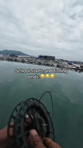 Fishing >>>school #fishing #fishinglife #foryou #fishingtiktoks #fisherman 