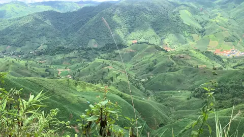 Rov qab tuaj txog nej lub zos#xuhuongtiktok #xuhuongtiktok #viralditiktok 