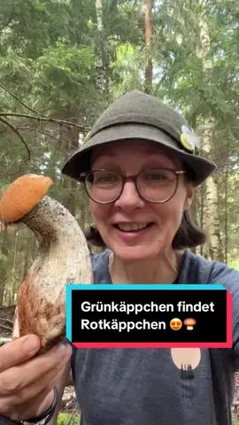 Grünkäppchen sucht und findet Rotkäppchen 💚🍄‍🟫♥️ Und was für ein Rotkäppchen 😳 Eine tolle Fichtenrotkappe (Leccinum piceinum) ist uns ins Körbchen gehüpft! Wie alle Raufußröhrlinge hat auch die Fichtenrotkappe am Stiel die typischen Schüppchen auf weissem Grund. Das Fleisch verfärbt sich nach dem Anschnitt rosa und später violett. Raufußröhrlinge sind roh sehr giftig. Daher sollte man sie mindestens 20 Minuten durchgaren. Das trifft auch auf getrocknete Pilze zu. #pilz #rotkappe #märchen #fyp #foryou 