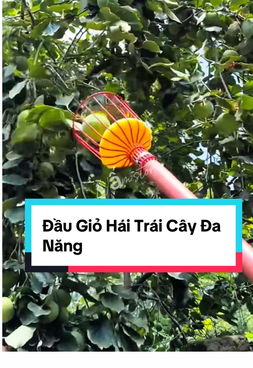 Dụng cụ gắp trái cây, dụng cụ làm vườn, đầu gắp trái cây, dụng cụ gắp trái cây, để hái trên cao ##giohaitraicay##dungcuhaitraicay##dungcutienich##dungculamvuon