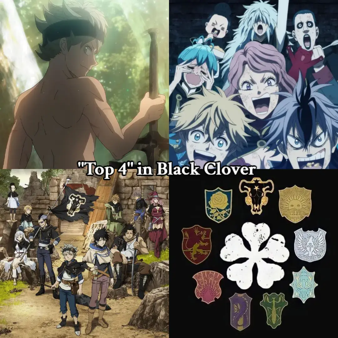 Keep in mind that this is mostly personal opinion, so don't throw a fit in the comments! Rankings are based on personal enjoyment. #blackclover #blackcloveredit #asta #noellesilva #animefyp 