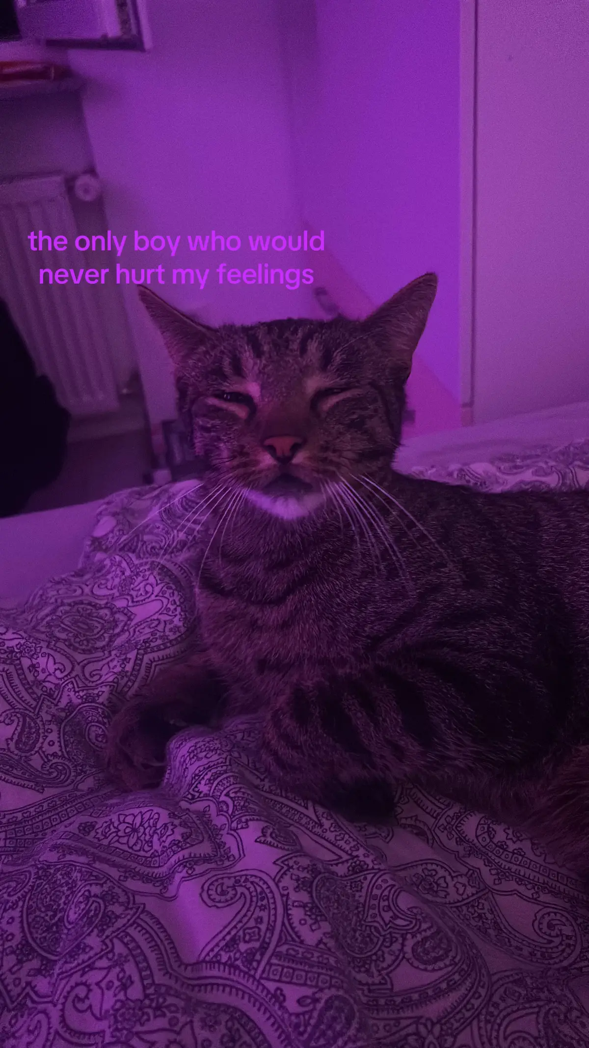 #onlyboy #feelings #cat 