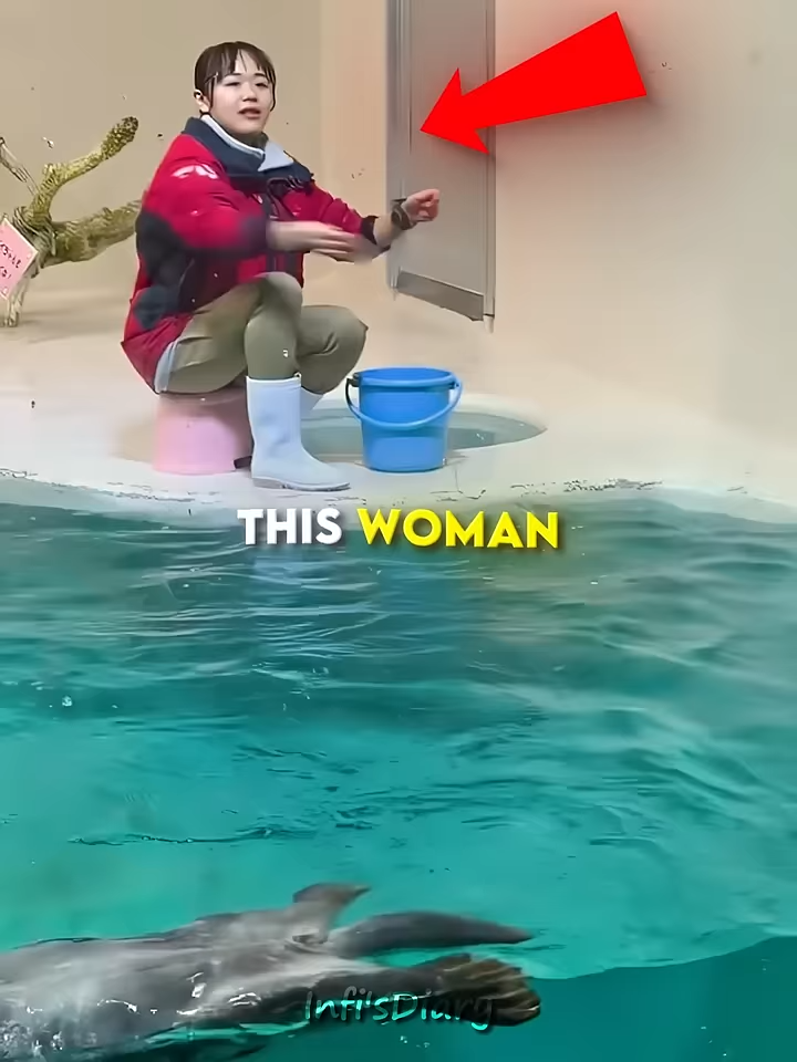 The Otter Who Tried Too Hard 😂🦦  (📷 @urusaiari3⧸TT) #shorts_A4nu5cSnfFg