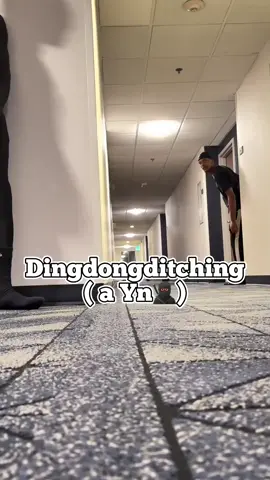 لماذا يهرب؟؟؟😯#prank #scary #fyp #giosofamous #funny 