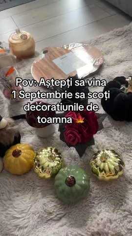 Cine mai este ca mine mâna sus in comentarii 😅🍁  #autumn #decoratiuni #pepco #ugc #september 
