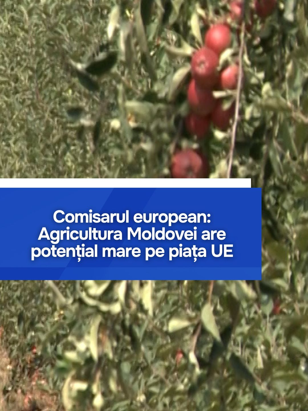 Comisarul european: Agricultura Moldovei are potențial mare pe piața UE #Moldova #agricultura #UE #integrareeuropeana #comerț #fermieri #ChristopheHansen